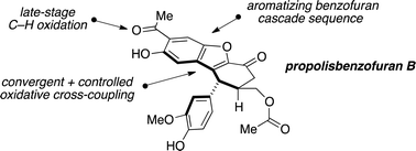 Graphical abstract: Total synthesis of propolisbenzofuran B