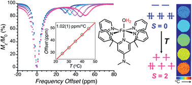 Graphical abstract: Spin crossover iron(ii) complexes as PARACEST MRI thermometers