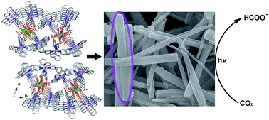 Graphical abstract: Effective visible-light driven CO2 photoreduction via a promising bifunctional iridium coordination polymer