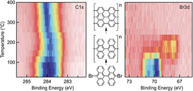 Graphical abstract: Probing the mechanism for graphene nanoribbon formation on gold surfaces through X-ray spectroscopy