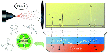 Graphical abstract: Charge-tagged ligands: useful tools for immobilising complexes and detecting reaction species during catalysis