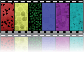 Graphical abstract: Thin metal nanostructures: synthesis, properties and applications