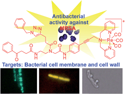 Graphical abstract: An organometallic structure-activity relationship study reveals the essential role of a Re(CO)3 moiety in the activity against gram-positive pathogens including MRSA