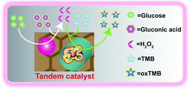 Graphical abstract: Positional assembly of hemin and gold nanoparticles in graphene–mesoporous silica nanohybrids for tandem catalysis