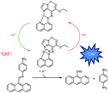 Graphical abstract: Regulating signal enhancement with coordination-coupled deprotonation of a hydrazone switch