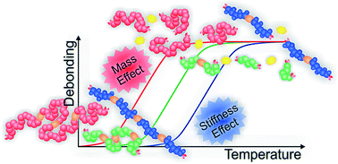 Graphical abstract: Entropy driven chain effects on ligation chemistry