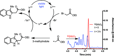 Graphical abstract: Ligand functionalization as a deactivation pathway in a fac-Ir(ppy)3-mediated radical addition