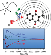 Graphical abstract: On the formation of anions: frequency-, angle-, and time-resolved photoelectron imaging of the menadione radical anion
