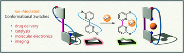 Graphical abstract: Ion-mediated conformational switches
