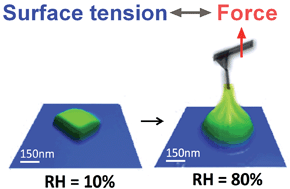 Graphical abstract: Humidity-dependent surface tension measurements of individual inorganic and organic submicrometre liquid particles