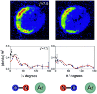 Graphical abstract: Steric effects and quantum interference in the inelastic scattering of NO(X) + Ar