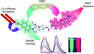 Graphical abstract: Engineering a FRET strategy to achieve a ratiometric two-photon fluorescence response with a large emission shift and its application to fluorescence imaging