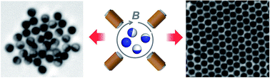 Graphical abstract: Rotating crystals of magnetic Janus colloids