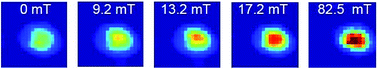 Graphical abstract: Magnetic field induced quantum dot brightening in liquid crystal synergized magnetic and semiconducting nanoparticle composite assemblies