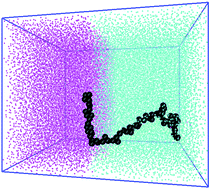 Graphical abstract: Thermodynamics of linear and star polymers at fluid interfaces
