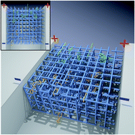 Graphical abstract: Rings in random environments: sensing disorder through topology