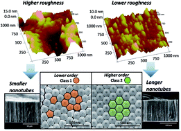 Graphical abstract: The role of the Ti surface roughness in the self-ordering of TiO2 nanotubes: a detailed study of the growth mechanism