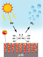 Graphical abstract: A quantum dot sensitized catalytic porous silicon photocathode
