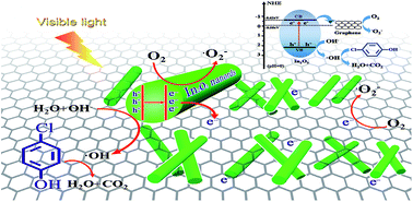 Graphical abstract: Heterostructured composites consisting of In2O3 nanorods and reduced graphene oxide with enhanced interfacial electron transfer and photocatalytic performance