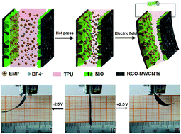 Graphical abstract: An interface nanostructured array guided high performance electrochemical actuator