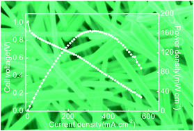 Graphical abstract: A high-performance supportless silver nanowire catalyst for anion exchange membrane fuel cells