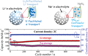 Graphical abstract: Reaction pathway and wiring network dependent Li/Na storage of micro-sized conversion anode with mesoporosity and metallic conductivity
