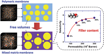 Graphical abstract: Mixed matrix membranes with molecular-interaction-driven tunable free volumes for efficient bio-fuel recovery