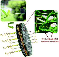Graphical abstract: Cellulose composite aerogel for highly efficient electromagnetic interference shielding