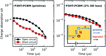 Graphical abstract: The effect of oxygen induced degradation on charge carrier dynamics in P3HT:PCBM and Si-PCPDTBT:PCBM thin films and solar cells