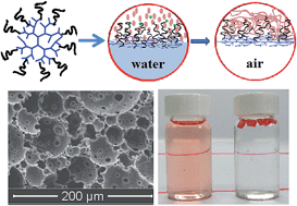 Graphical abstract: Dendritic amphiphile mediated porous monolith for eliminating organic micropollutants from water