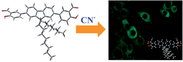 Graphical abstract: Fluorene-based chemodosimeter for “turn-on” sensing of cyanide by hampering ESIPT and live cell imaging
