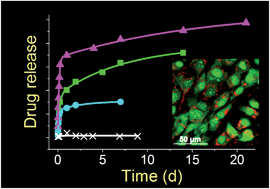 Graphical abstract: Bioinspired silica as drug delivery systems and their biocompatibility