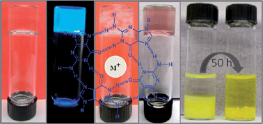 Graphical abstract: Self-assembly of guanosine and deoxy-guanosine into hydrogels: monovalent cation guided modulation of gelation, morphology and self-healing properties