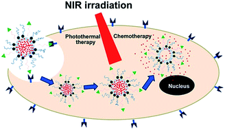 Graphical abstract: Folic acid-conjugated hollow mesoporous silica/CuS nanocomposites as a difunctional nanoplatform for targeted chemo-photothermal therapy of cancer cells