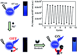Graphical abstract: A recyclable carbon nanoparticle-based fluorescent probe for highly selective and sensitive detection of mercapto biomolecules