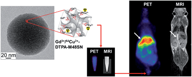 Graphical abstract: Metal chelate grafting at the surface of mesoporous silica nanoparticles (MSNs): physico-chemical and biomedical imaging assessment