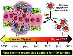 Graphical abstract: Super LCST thermo-responsive nanoparticle assembly for ATP binding through the Hofmeister effect