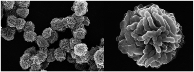 Graphical abstract: Polyelectrolyte-mediated hierarchical mesoporous calcium silicates: a platform for drug delivery carrier with ultrahigh loading capacity and controlled release behavior