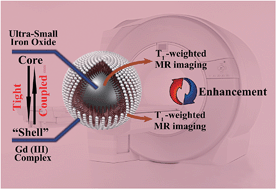 Graphical abstract: Gd(iii) complex conjugated ultra-small iron oxide as an enhanced T1-weighted MR imaging contrast agent