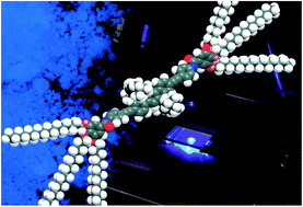 Graphical abstract: Luminescence modulation in liquid crystalline phases containing a dispiro[fluorene-9,11′-indeno[1,2-b]fluorene-12′,9′′-fluorene] core
