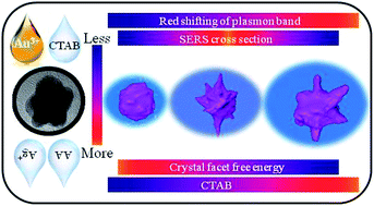 Graphical abstract: Synergistically controlled nano-templated growth of tunable gold bud-to-blossom nanostructures: a pragmatic growth mechanism