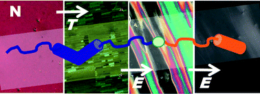 Graphical abstract: Bent-rod liquid crystal dimers: synthesis and mesomorphic properties