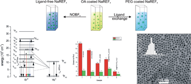 Graphical abstract: The effect of surface ligand, solvent and Yb3+ co-doping on the luminescence properties of Er3+ in colloidal NaGdF4 nanocrystals