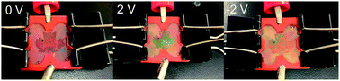 Graphical abstract: Electrochemically color tunable poly(N-isopropylacrylamide) microgel-based etalons