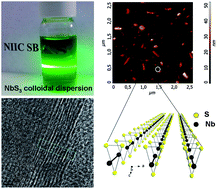 Graphical abstract: Colloidal solutions of niobium trisulfide and niobium triselenide