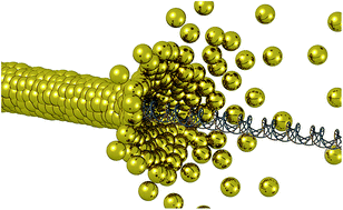 Graphical abstract: Self-assembly of one dimensional DNA-templated structures