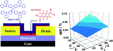 Graphical abstract: Revealing the origin of magnetoresistance in unipolar amorphous organic field-effect transistors