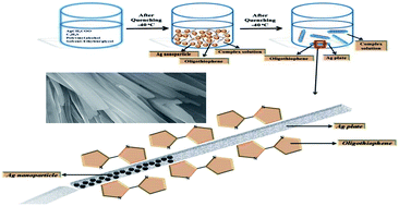 Graphical abstract: Conducting Ag/oligothiophene complex pastes through a simple quenching/chelation method
