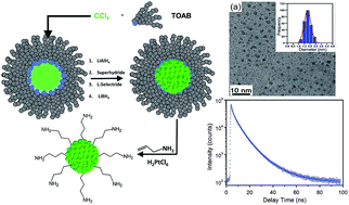 Graphical abstract: Size controlled synthesis of carbon quantum dots using hydride reducing agents