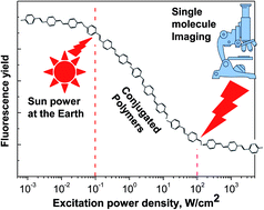 Graphical abstract: Photo-induced fluorescence quenching in conjugated polymers dispersed in solid matrices at low concentration